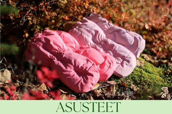 ASUSTEET ASUSTEET